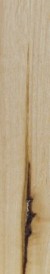 Holz